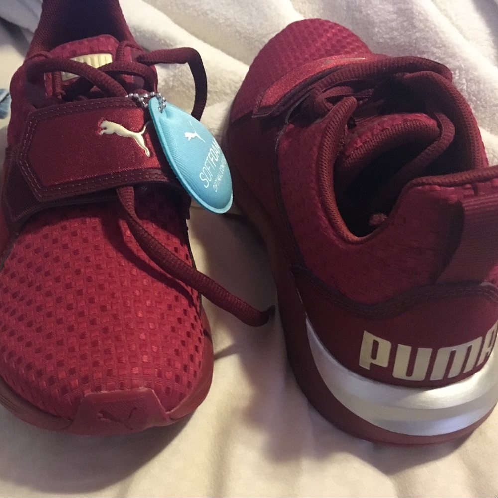 Pumas